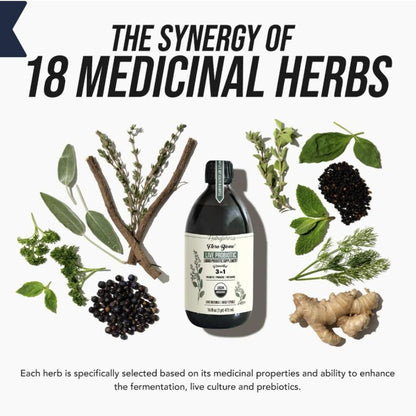 Flora Biome Live Probiotic